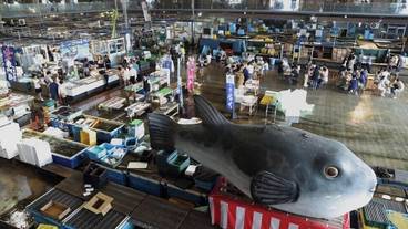 観光スポット / 7