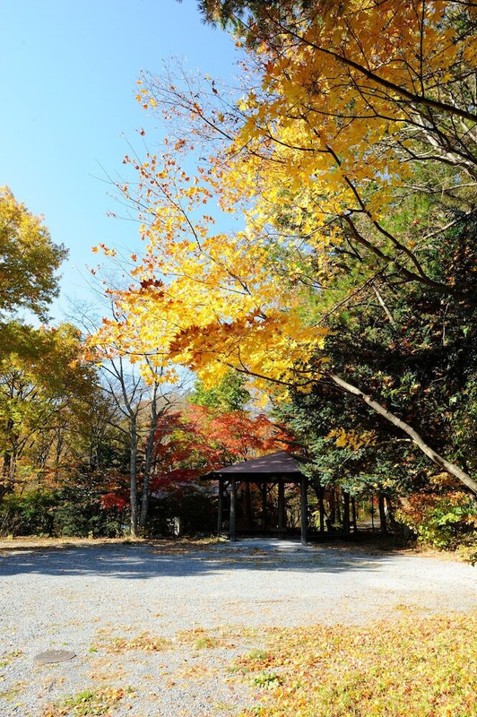 部屋からの景観