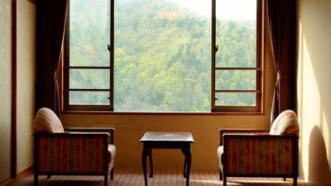 客室から眺める渓谷の一例① / 8