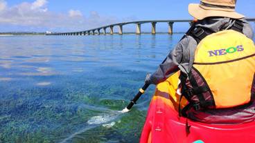 スポーツ設備 / 2