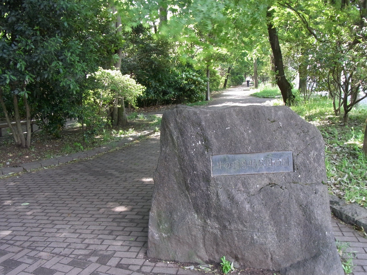 都内で自然を楽しめるデートスポット・井の頭公園6449
