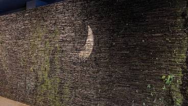 施設の入り口 / 14