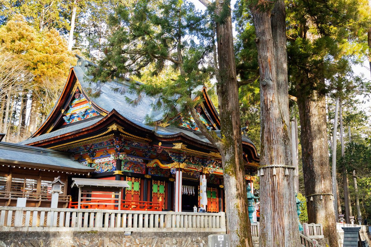 三峯神社 ご神木