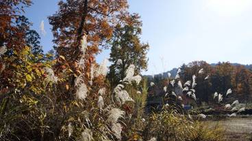 施設の敷地 / 12