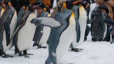 フィットネス設備 / 6