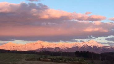 マウンテン ビュー / 14