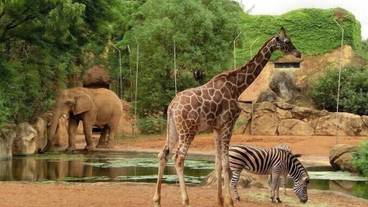 観光スポット / 21