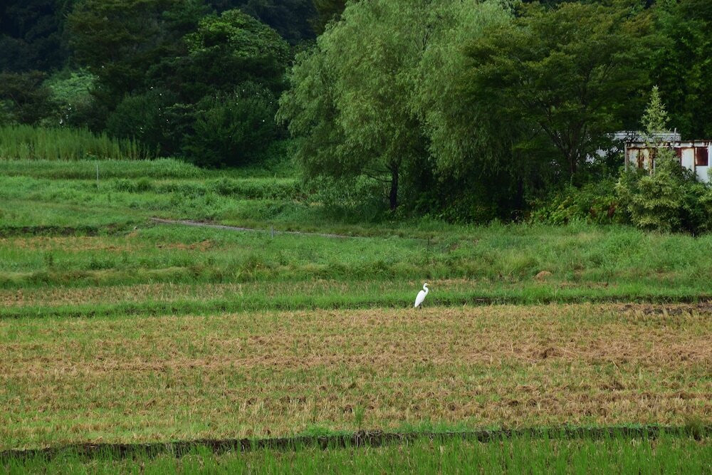施設からの眺望
