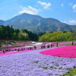 GWに行きたい！全国のおすすめ観光スポット10選！