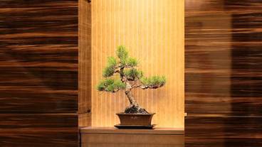 内部エントランス / 3