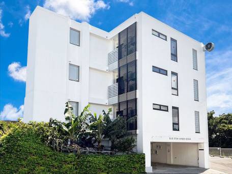 Blue Steak Wonder Senaha Okinawa Yomitan / 4