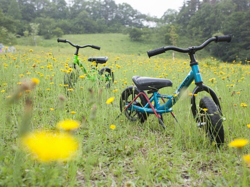 子供用の遊び場 - 屋外