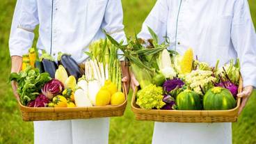 食事・飲み物 / 11
