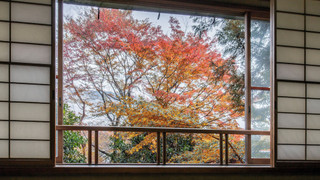 別荘のような寛ぎの「離れ」