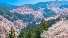 グランドメルキュール奈良橿原