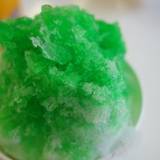 東山動植物園（ヒガシヤマドウショクブツエン）