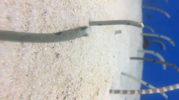 観光スポット / 8