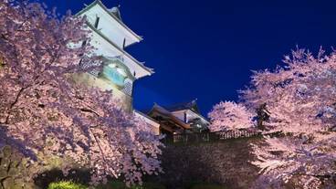 シティ ビュー / 13