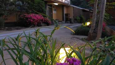 施設の敷地 / 13