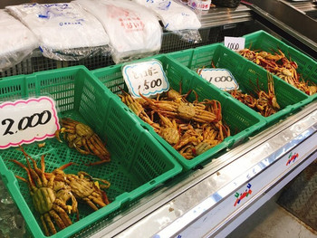 「越前がにミュージアムショップ」 料理 76053785 