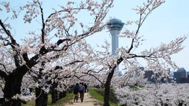 観光スポット / 15