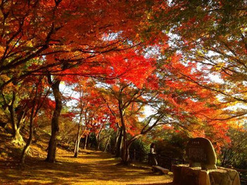 3）尾関山公園【三次】727450