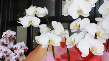 内装の詳細 / 11