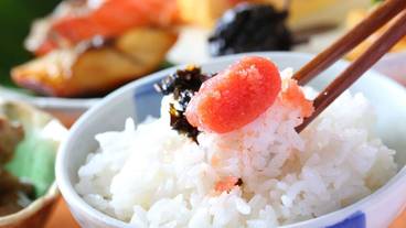 朝食ビュッフェ / 10
