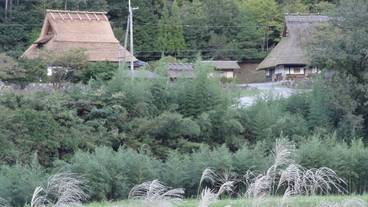 マウンテン ビュー / 36