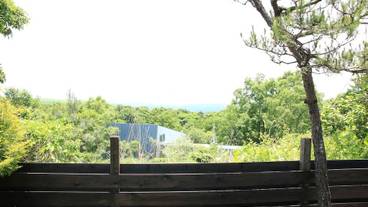 施設からの眺望 / 15