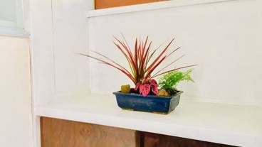 内装の詳細 / 19