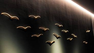 建物のデザイン / 38