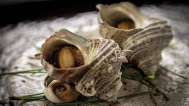 食事・飲み物 / 8