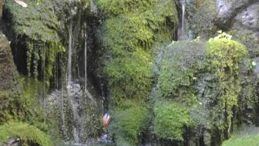 施設の敷地 / 12