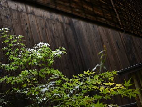 鈴 プレミアム 飛雲（Rinn Premium Hiun） / 5