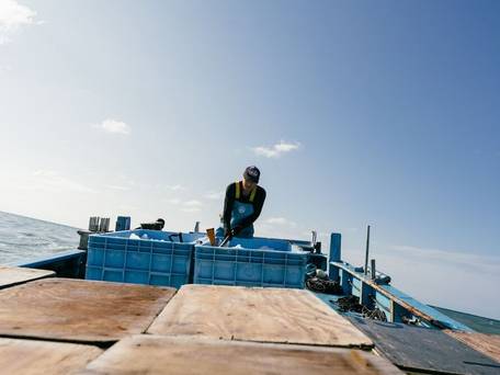 B＆B MIKAWA Kanazawa Fish Harbour / 1