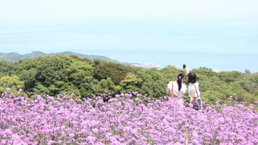 KAMOME SLOW HOTEL（カモメ スロー ホテル） / 2