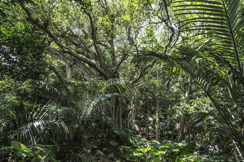 海も森林も。大自然を満喫するのにピッタリ！4255779