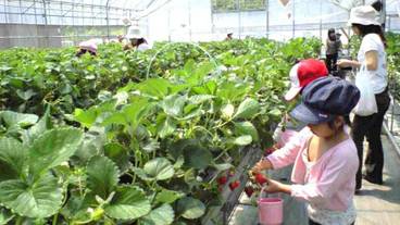 子供向けアクティビティ / 2