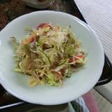 下仁田温泉 清流荘(シモニタオンセンセイリュウソウ)