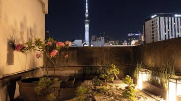 屋上テラス / 16