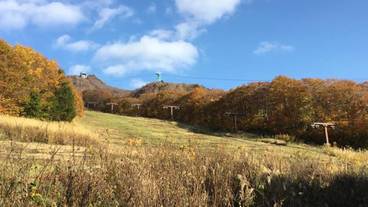 施設の敷地 / 11