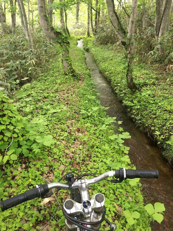 自転車