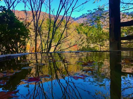 隠庵 ひだ路 / 1