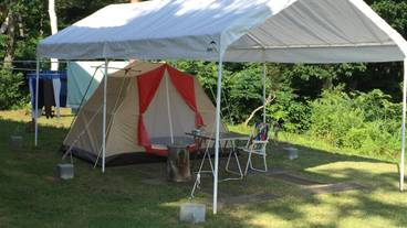 施設の敷地 / 12