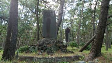 ランド ビュー / 27