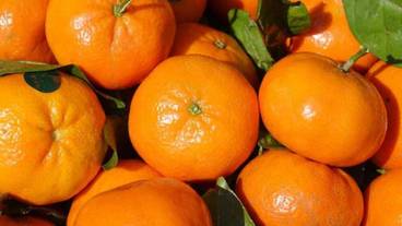 レストラン / 12