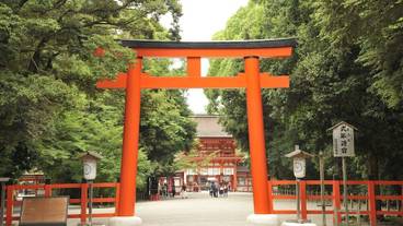 観光スポット / 12