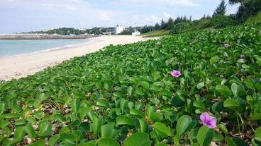 施設からの眺望 / 17