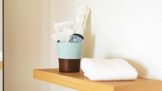 スタンダード和洋室 B 禁煙 / 33平米 (バスルーム無)